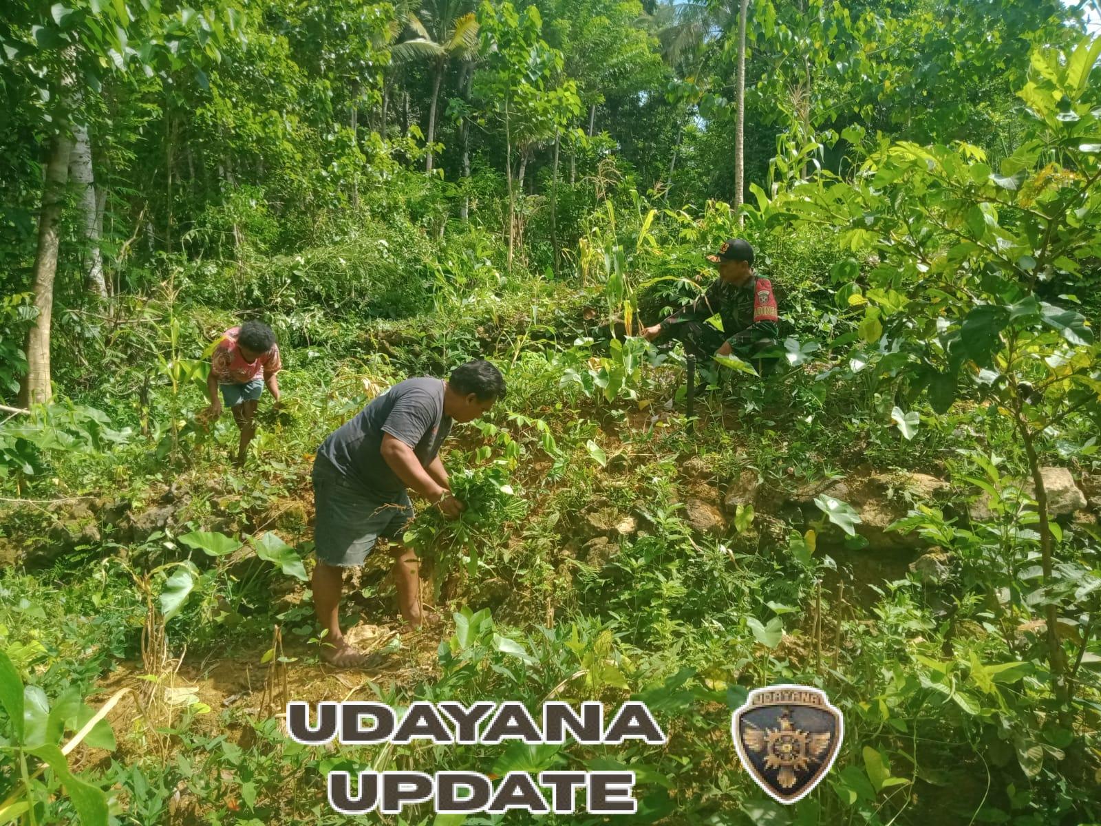 Pererat Silaturahmi, Babinsa Sertu Mursidi Komsos dengan Warga