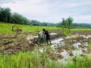 Babinsa Koramil 06/Karera Dampingi Petani Siapkan Lahan Persawahan