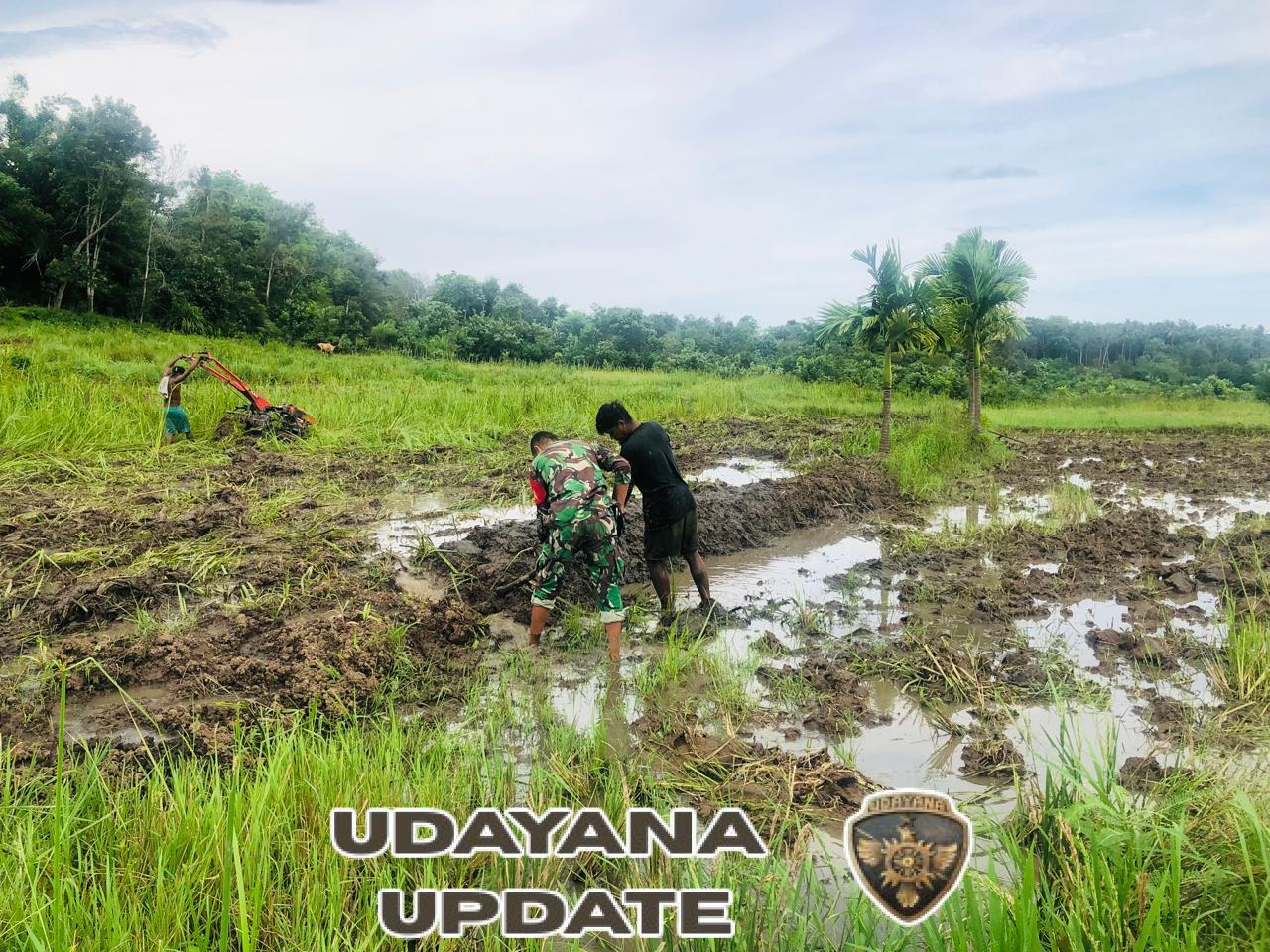 Babinsa Koramil 06/Karera Dampingi Petani Siapkan Lahan Persawahan