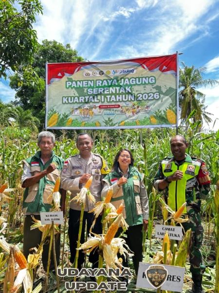 Dari Lahan Jagung, Babinsa Pererat Sinergi Dukung Ketahanan Pangan