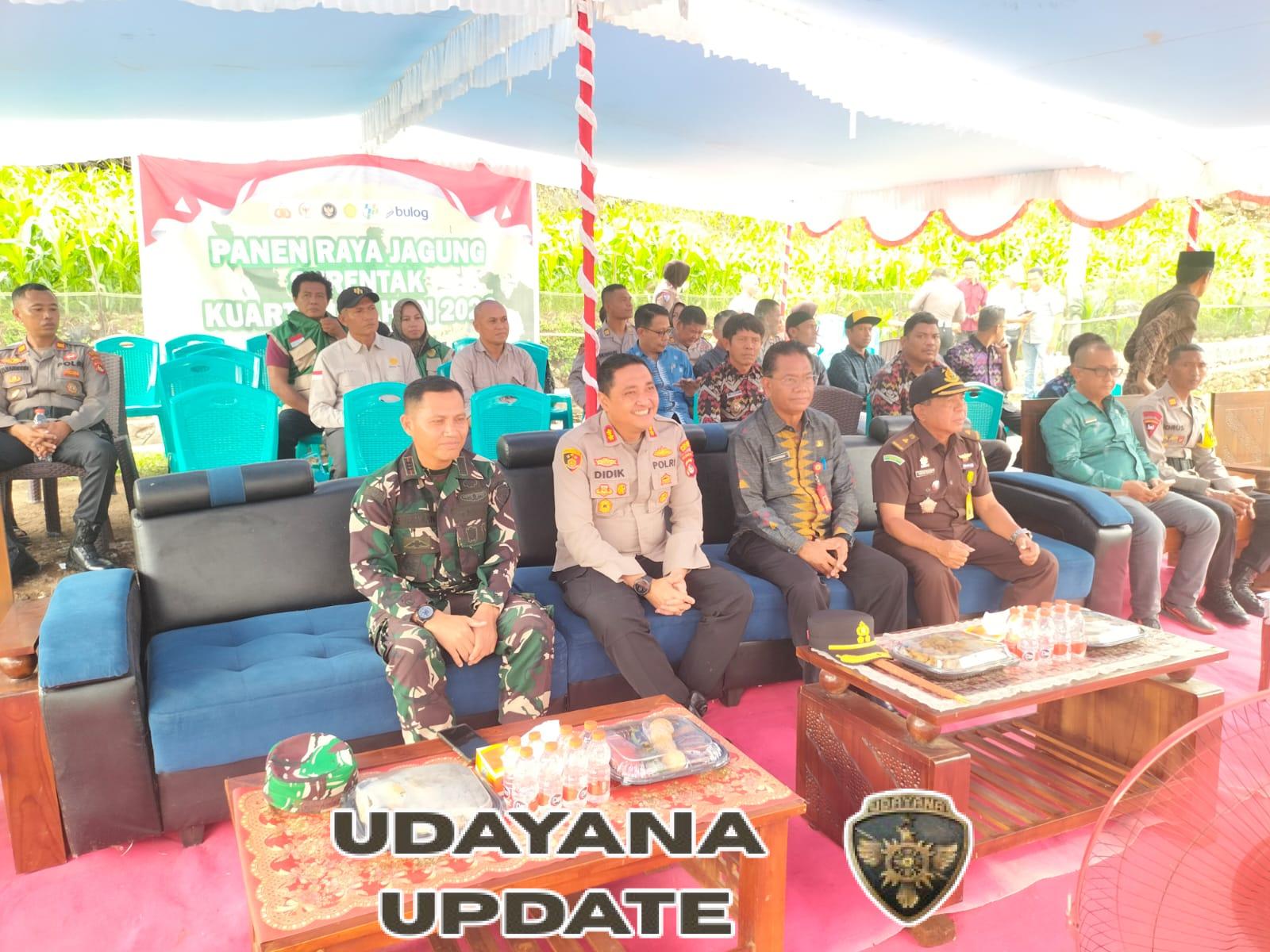 PJU Polres Bima Kota, Pemerintah Daerah, dan TNI Bersinergi Dukung Panen Raya Jagung 2025