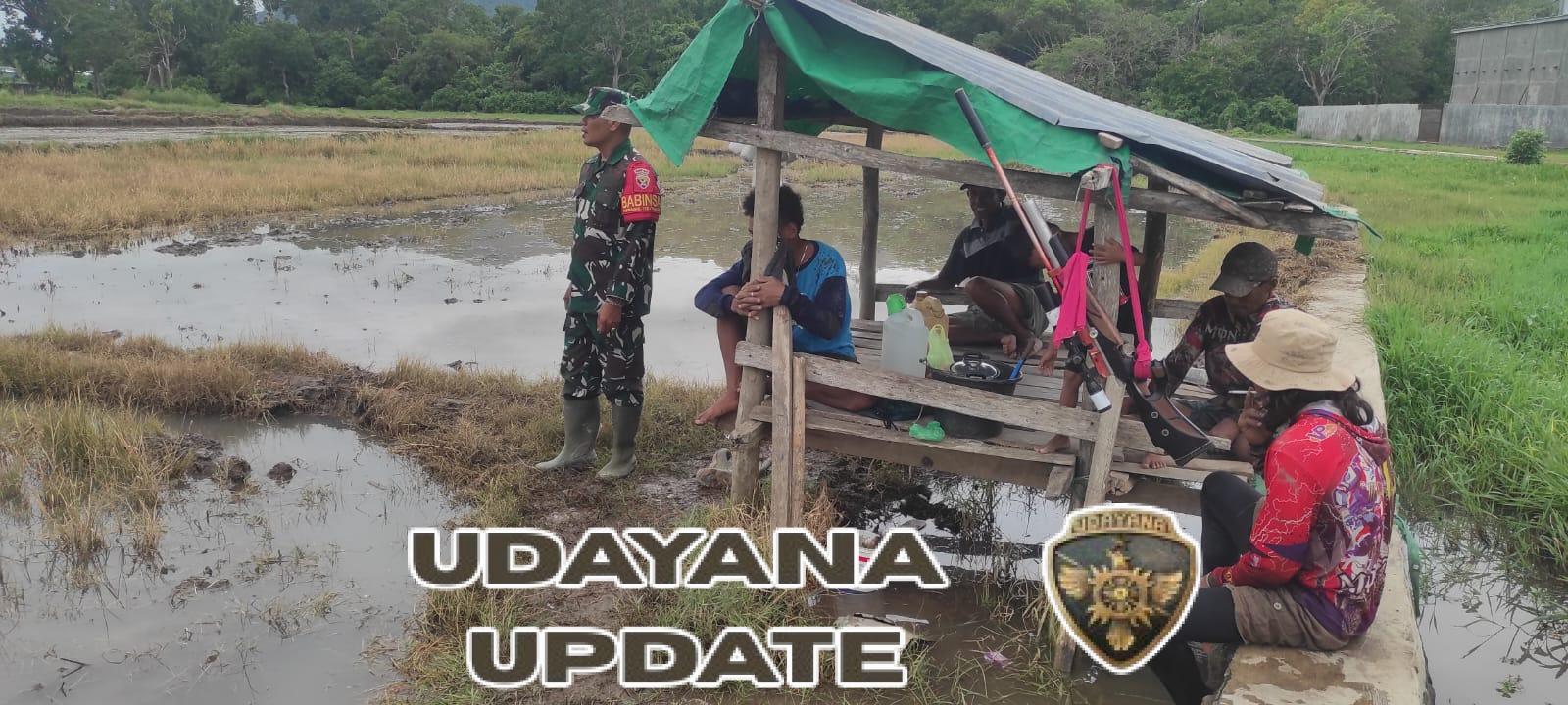 Babinsa Tolokalo Dorong Warga Manfaatkan Lahan Tidur Demi Ketahanan Pangan