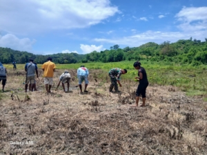 Babinsa Koramil 04/Tabundung Bantu  Petani Tanam Padi di Desa Wudipandak