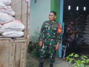 Babinsa Kodim 1620/Loteng Pantau Ketat Penyaluran Pupuk Subsidi Di Tanak Awu