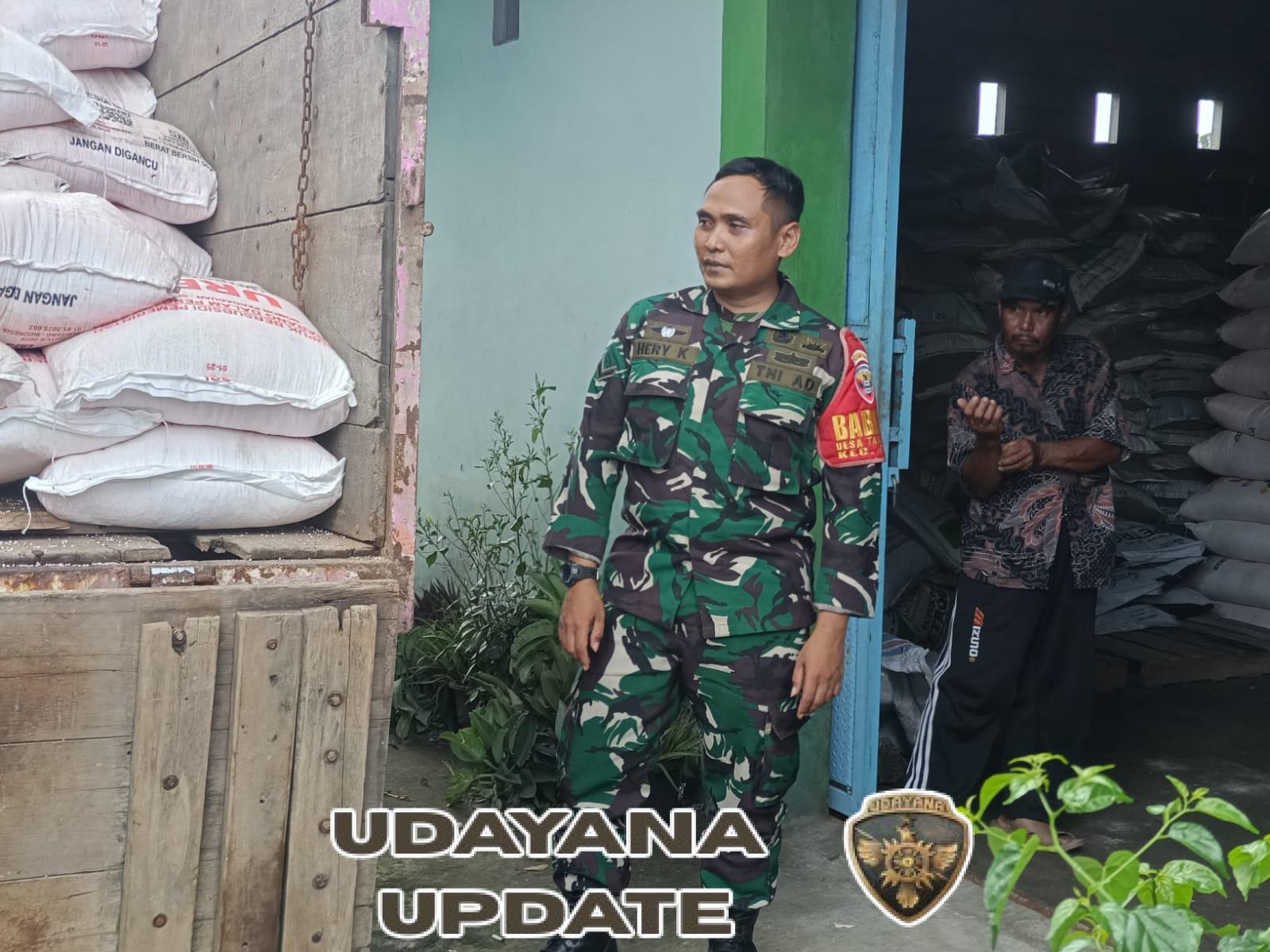 Babinsa Kodim 1620/Loteng Pantau Ketat Penyaluran Pupuk Subsidi Di Tanak Awu