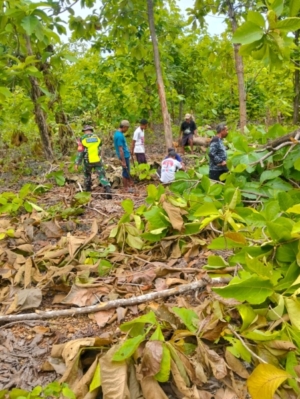Babinsa Pantai Baru Bersihkan Lahan KDKMP di Desa Lekona