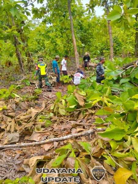 Babinsa Pantai Baru Bersihkan Lahan KDKMP di Desa Lekona