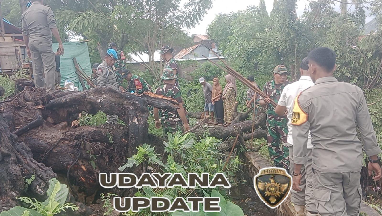 Danposramil Wera Turun Tangan Bersihkan Rumah Warga Tertimpa Pohon Asam