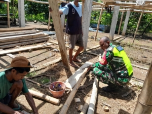 TNI AD Hadir di Tengah Masyarakat, Babinsa Maurole Bantu Pengerjaan Rumah Layak Huni