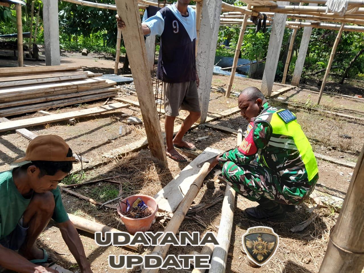 TNI AD Hadir di Tengah Masyarakat, Babinsa Maurole Bantu Pengerjaan Rumah Layak Huni