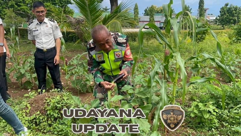 Babinsa Koramil 1627-01/Ba’a Hadiri Panen Raya di Lapas Lobalain