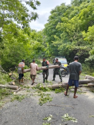 Respons Cepat Babinsa Lewoleba, Akses Jalan Jontona–Lamawolo Kembali Normal