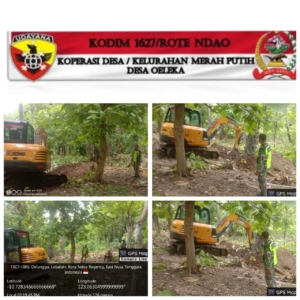 Babinsa Koramil 1627-01/Ba’a Turun Lapangan Awasi Pembersihan Lahan KDKMP