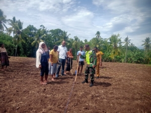 Babinsa Koramil Kewapante Dukung Penguatan Ketahanan Pangan melalui Penanaman Jagung Hibrida di Watukobu