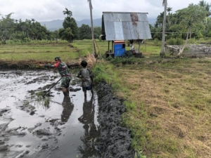 Wujud Kepedulian TNI, Babinsa Dampingi Petani di Desa Waisika