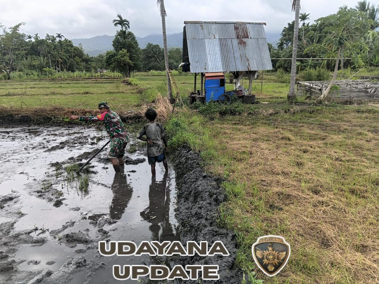 Wujud Kepedulian TNI, Babinsa Dampingi Petani di Desa Waisika