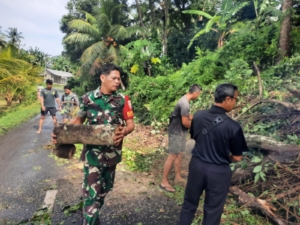 Sigap Hadapi Bencana, Babinsa Batuaji Turun Langsung Bersihkan Pohon Tumbang yang Menutupi Jalan Antar Desa