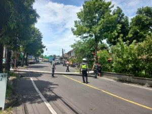 Cegah Bahaya di Jalan Raya, Babinsa Celuk Amankan Penurunan Papan Reklame
