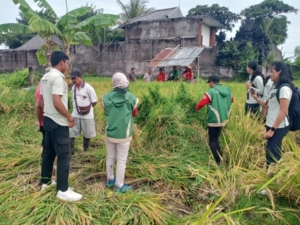 Babinsa Sertu Komang Arjawa Kawal Sinergi Pertanian, Produktivitas Padi Subak Ambengan Tembus 92,64 Ku/Ha