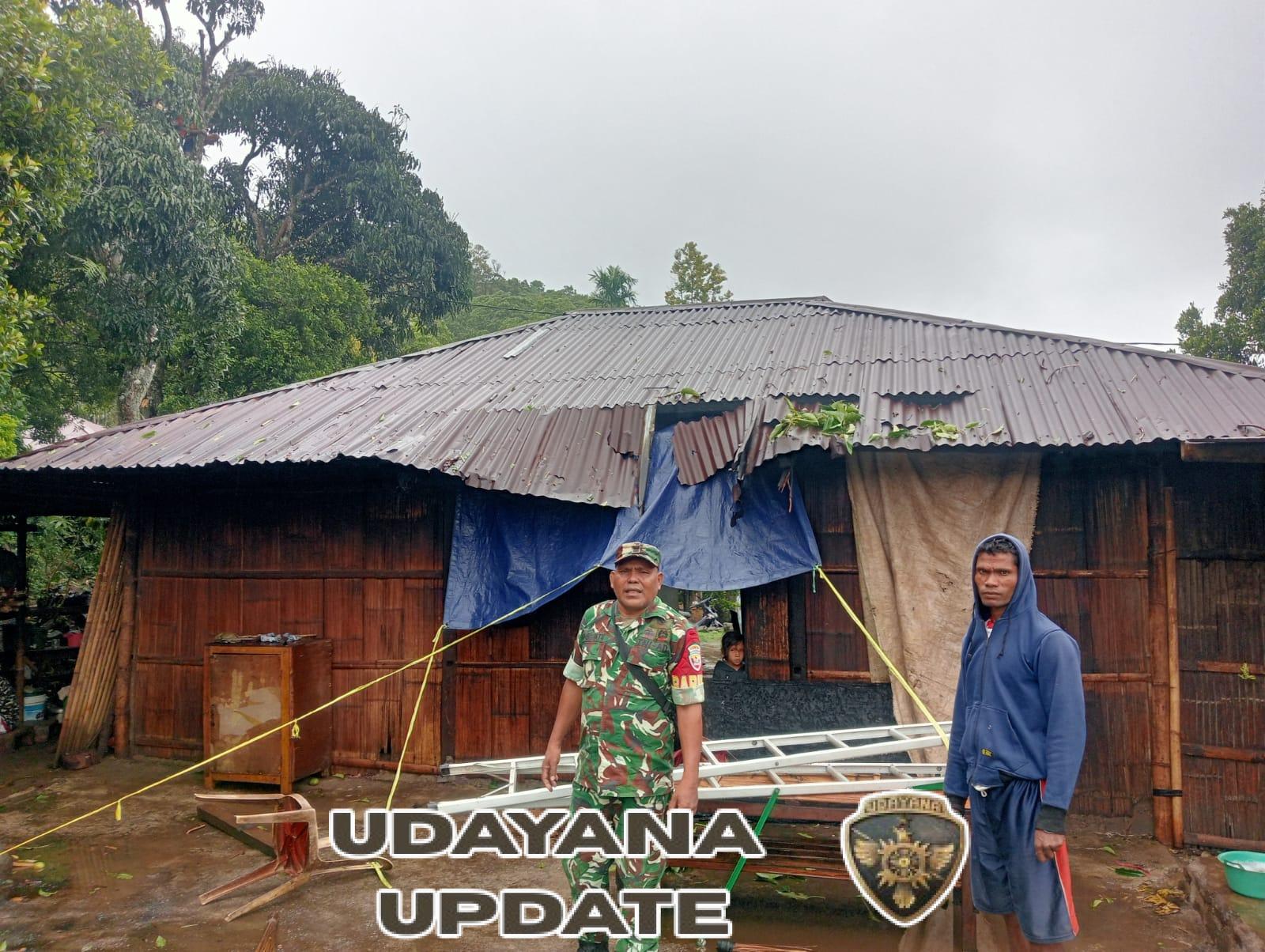 Hujan Lebat dan Angin Kencang, Babinsa Detusoko Turun Langsung Bantu Warga Korban Pohon Tumbang