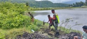 Dukung Ketahanan Pangan, Babinsa Maurole Aktif Dampingi Kelompok Tani Sangai Sa Ate