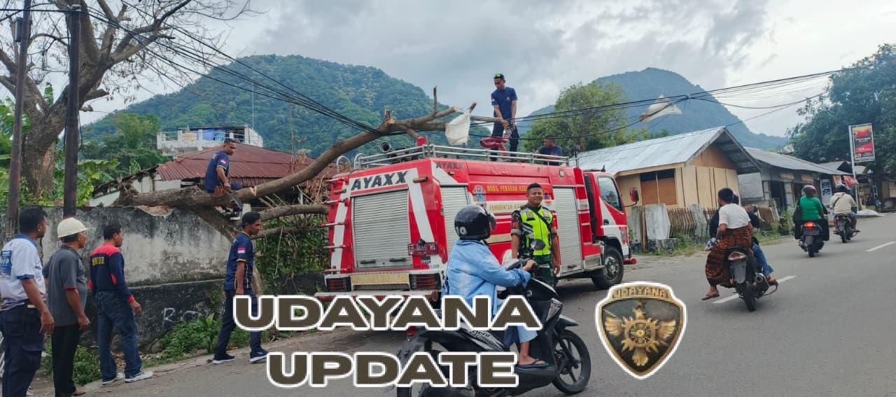 Angin Kencang Robohkan Pohon di Jalan Nuamuri, Babinsa Turun Tangan Bantu Evakuasi