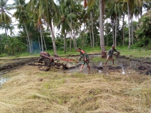 Dukung Ketahanan Pangan, Babinsa Koramil Omesuri Dampingi Petani Desa Leubatang