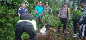Kadis DLH Kabupaten Buleleng Bersama Muspika Kecamatan Sawan Laksanakan Penanaman Pohon di Kawasan Hutan Lindung Desa Lemukih