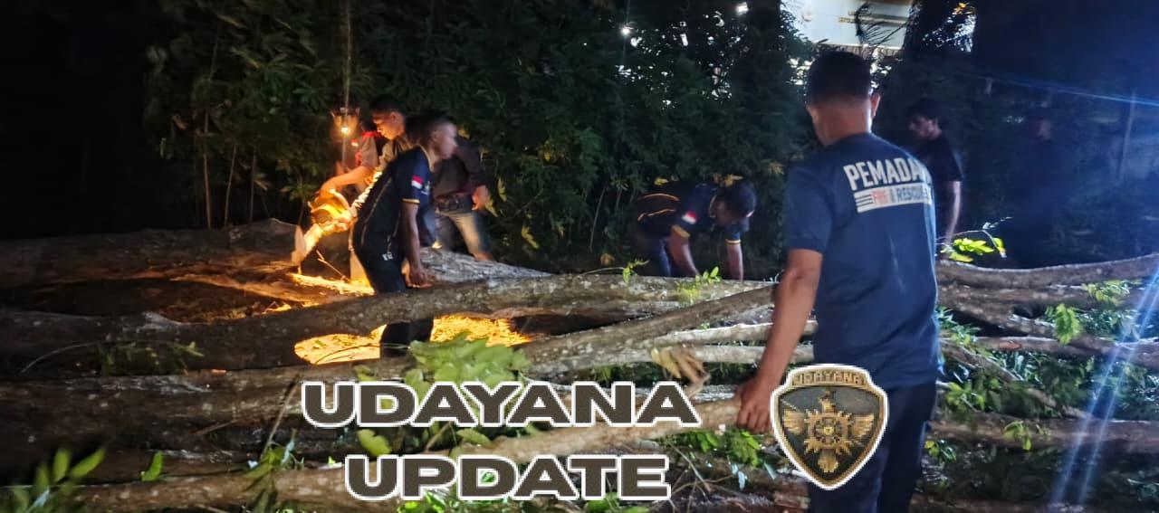 Angin Kencang Landa Ende Tengah, Babinsa Bersama Damkar Amankan Jalan Nangka