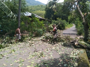 Peduli Keselamatan Warga, Babinsa Larantuka Turun Langsung Bersihkan Pohon Tumbang