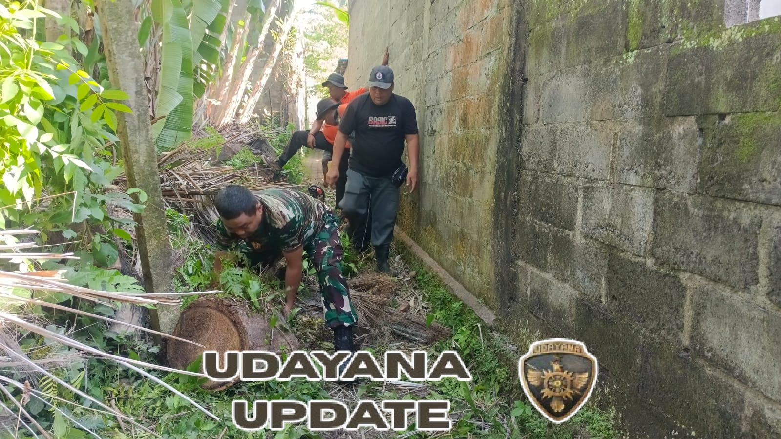 Aparat TNI Polri Dan BPBD Tangani Musibah Pohon Tumbang Di Desa Sampalan Tengah