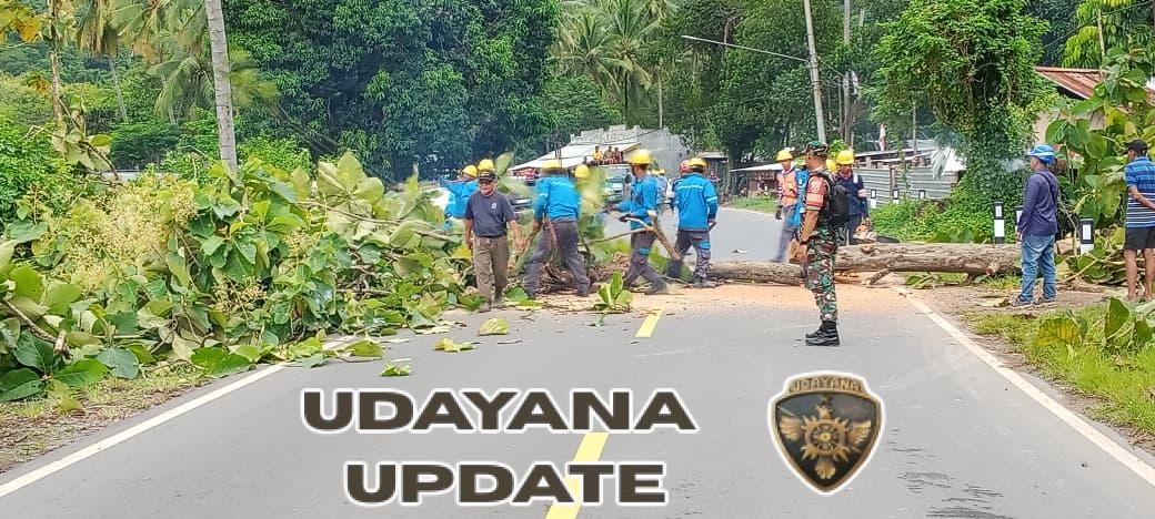 Sinergi Babinsa dan PLN, Penebangan Pohon di Lingkungan Pakirum Berjalan Aman