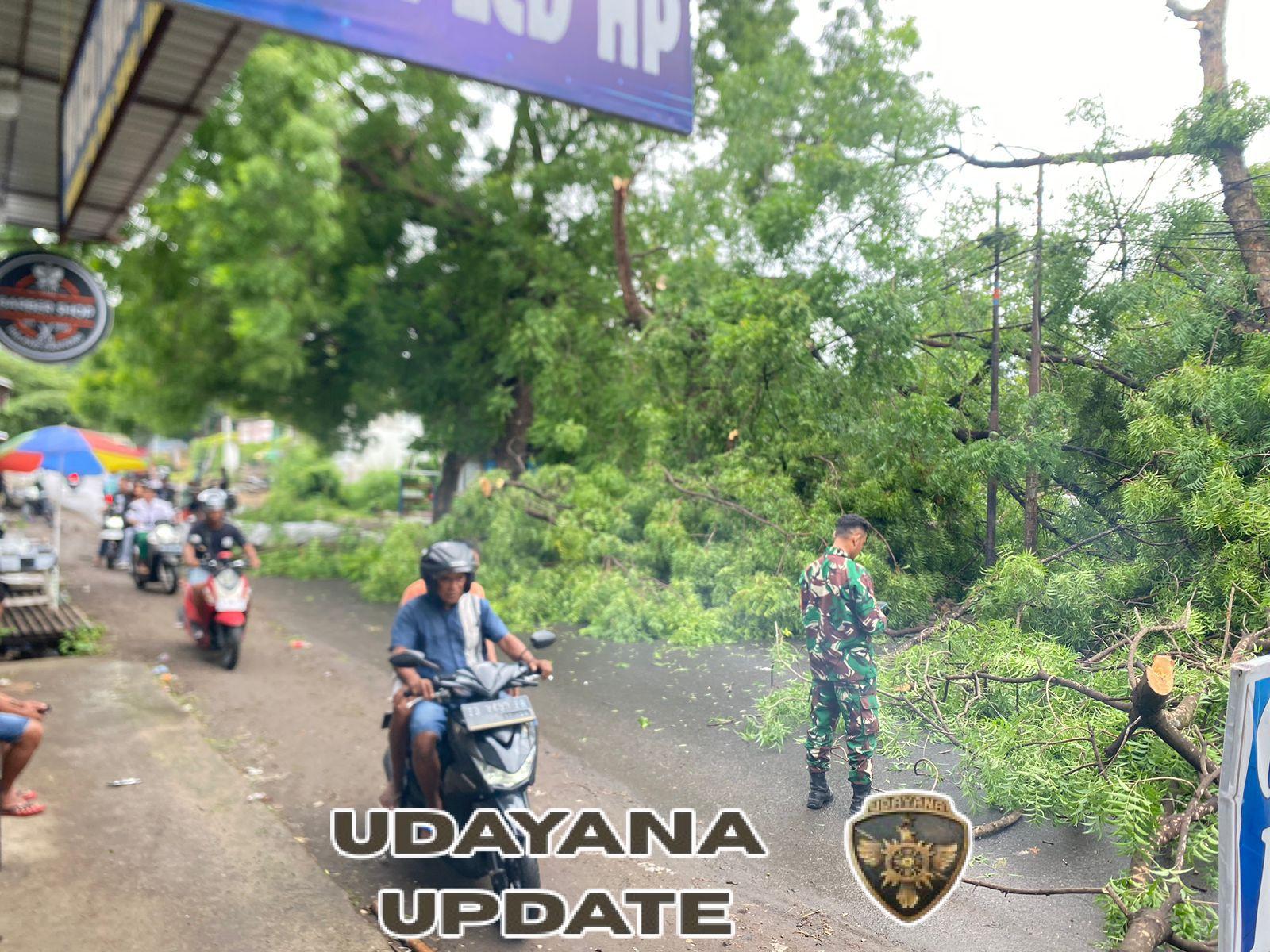 Respons Cepat Babinsa Koramil Alok Cegah Kemacetan dan Kecelakaan Akibat Pohon Tumbang