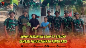 KEMANDIRIAN PANGAN: Masyarakat Calabai Nikmati Hasil Tani Personel Yonif TP 875/SYP