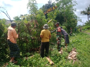 Babinsa Nangakara Gelar Jumat Bersih di Dusun Sorinaa