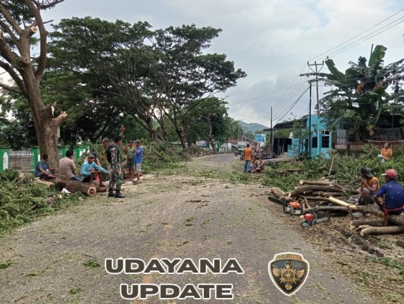 Babinsa Sawe Bersama Warga Pangkas Dahan Pohon Demi Keselamatan Pengguna Jalan