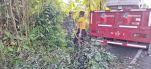 Antisipasi Cuaca Ekstrem, Babinsa Bukian Bersama PUPR Pangkas Dahan Pohon di Banjar Tiyingan