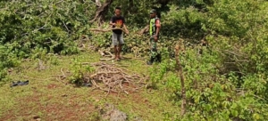 Babinsa Desa Mundek Pantau dan Dampingi Pembersihan Lahan KDKMP
