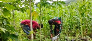 Koptu Bima Nur Isroni Ajak Warga Optimalkan Lahan Pertanian