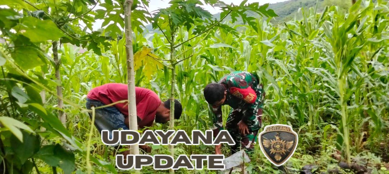 Koptu Bima Nur Isroni Ajak Warga Optimalkan Lahan Pertanian