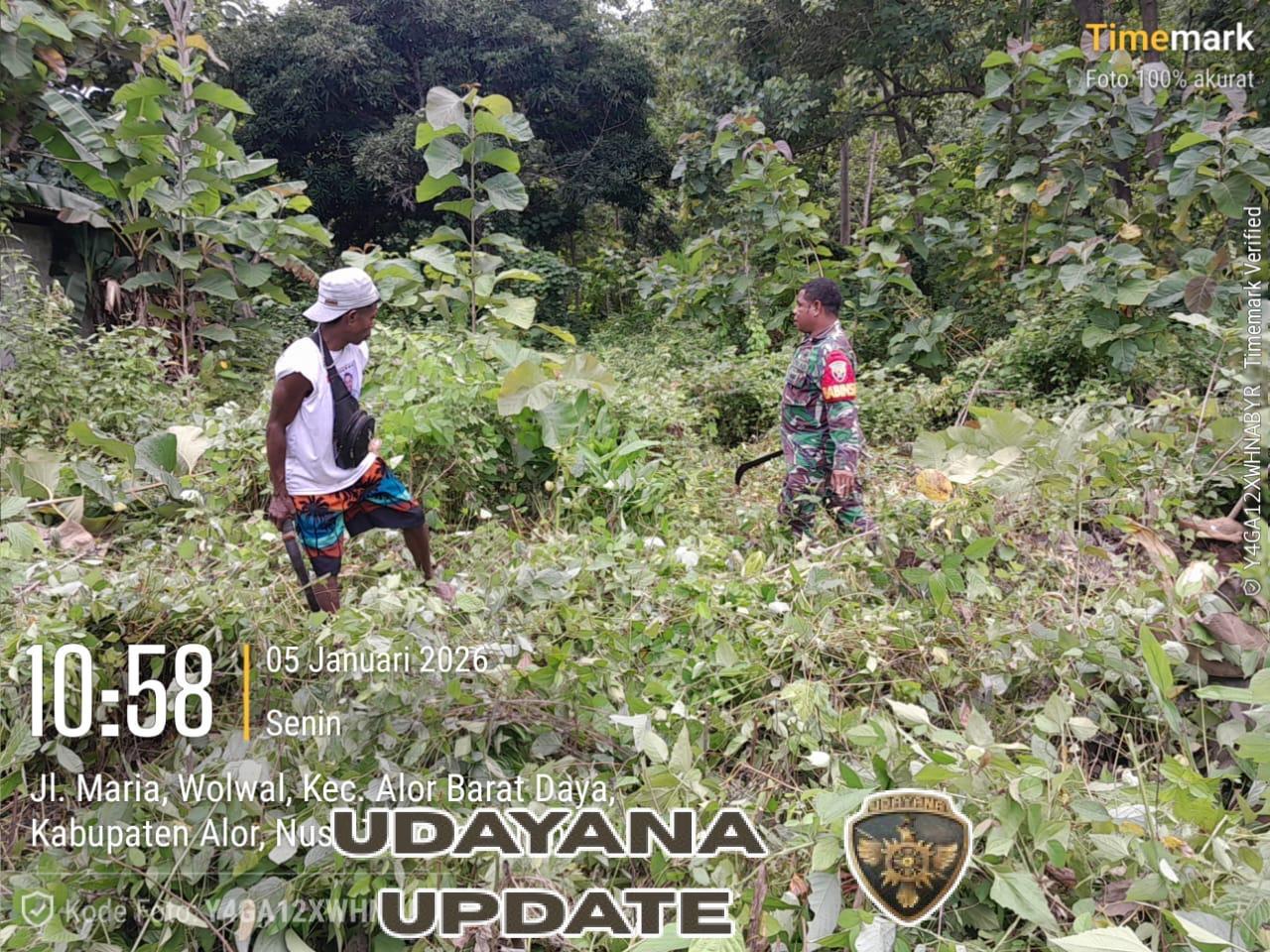 Babinsa Wolwal Barat Bersama Warga Bersihkan Lokasi Pembangunan KDKMP