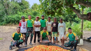 Satgas Pamtas Yonarmed 12 Kostrad Panen Tomat Bersama Warga Fohoeka