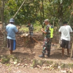 Babinsa Koramil 1602-01/Ende Gelar Karya Bakti Bantu Pembangunan Rumah Warga