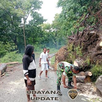 Babinsa Koramil 1602-01/Ende Bantu Warga Bersihkan Jalan Tertutup Pohon di Desa Wolokaro