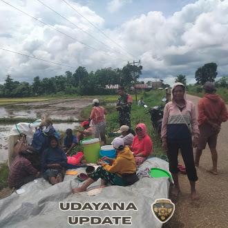 Dukung Hanpangan, Babinsa Temui Warga Usai Tanam Padi