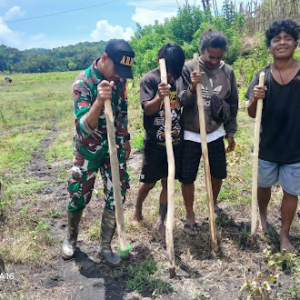 Wujud Dukungan Hanpangan, Babinsa Tabundung Turun Langsung ke Kebun Warga