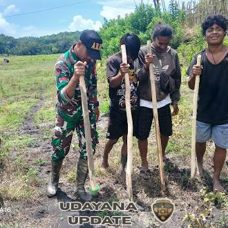 Wujud Dukungan Hanpangan, Babinsa Tabundung Turun Langsung ke Kebun Warga