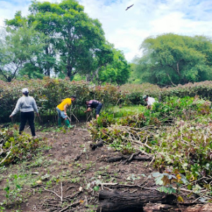 Dukung Kopdes Merah Putih, Babinsa Desa Nggodimeda Laksanakan Pembersihan Lokasi