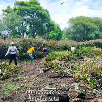 Dukung Kopdes Merah Putih, Babinsa Desa Nggodimeda Laksanakan Pembersihan Lokasi