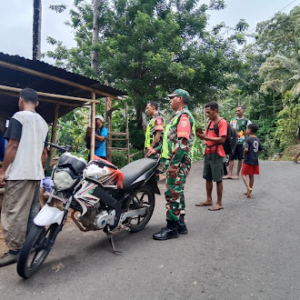 Dukung Ketahanan Pangan, Babinsa Detukeli Turun Langsung Dampingi Panen Jagung